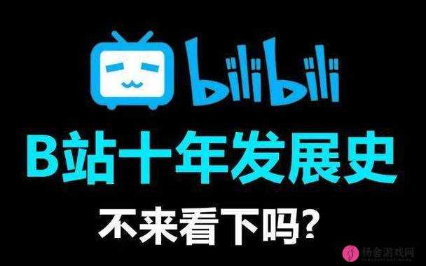 哔哩哔哩视频免费视频大全：涵盖丰富多样的精彩内容